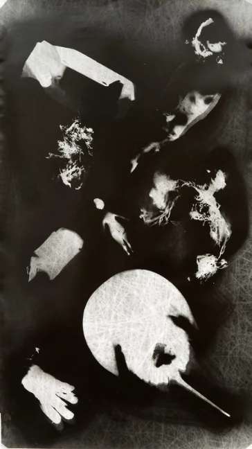 Water's Edge VIII, 2015