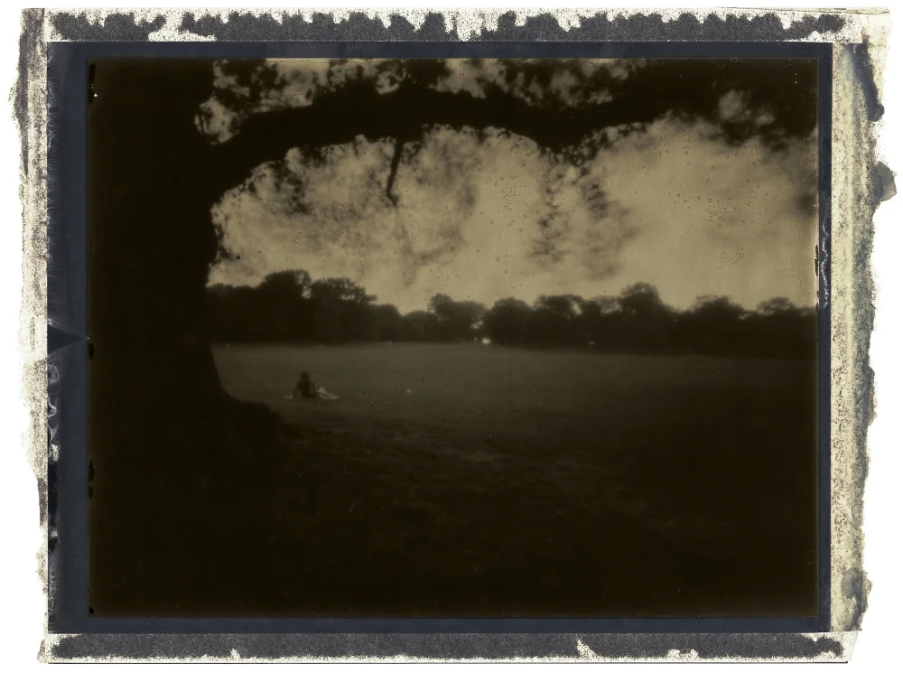 Under the Bough, Brooklyn, NY 2012
