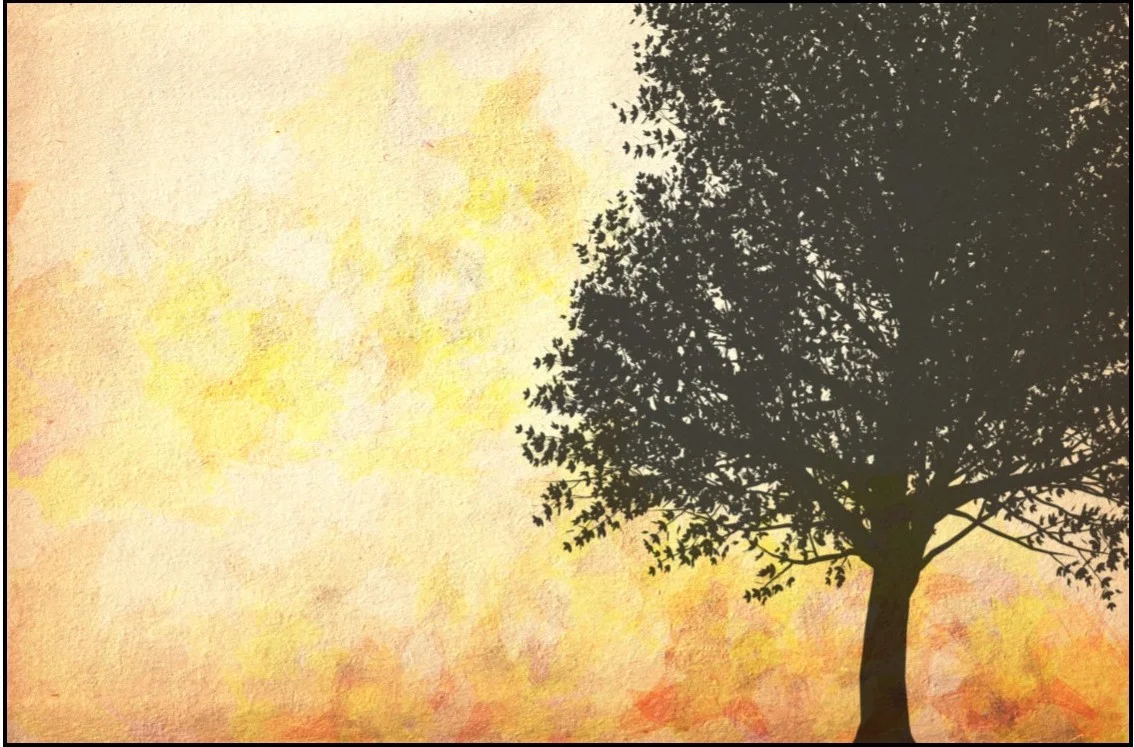 Women's Retreat--Pathways of Prayer