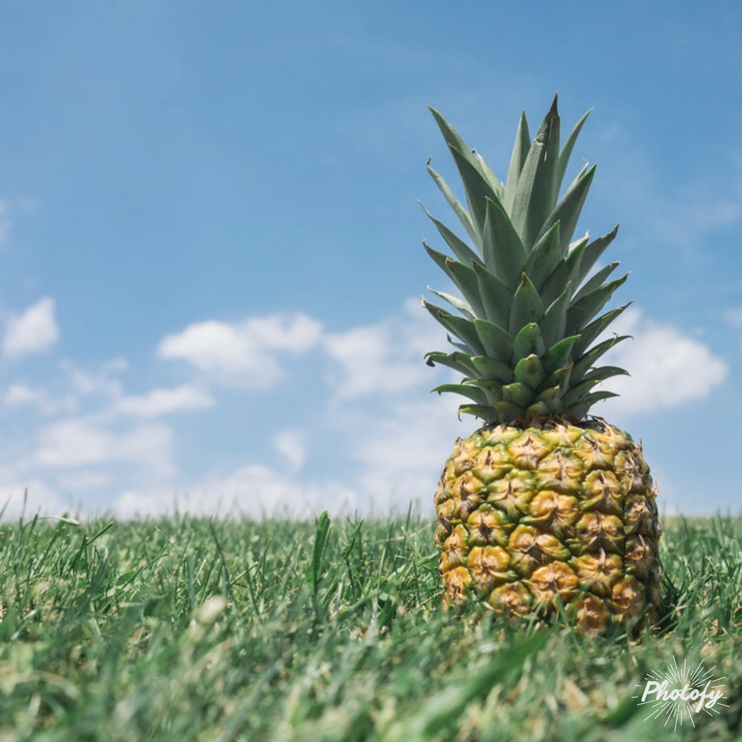 Life Group Gathering