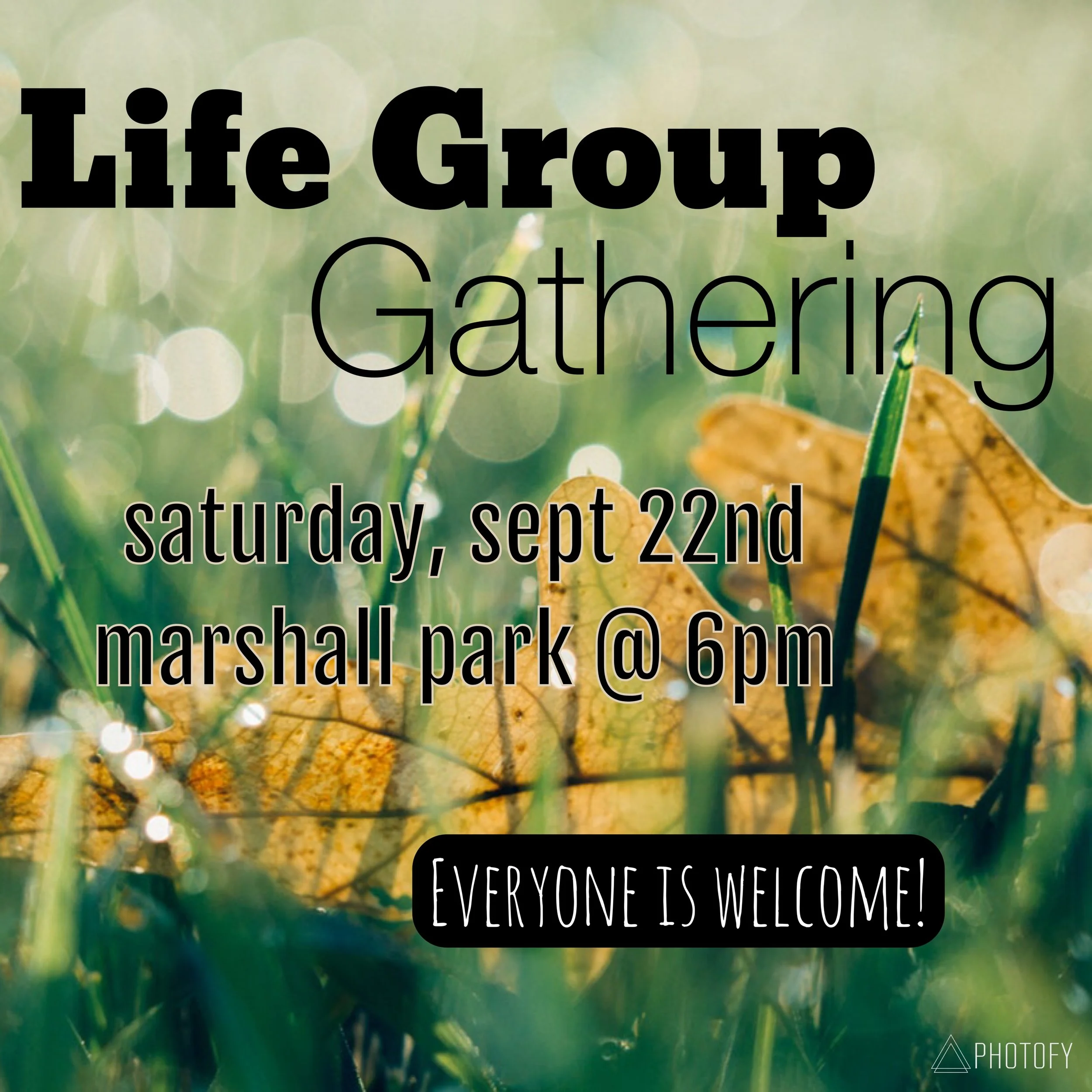 Life Group Gathering