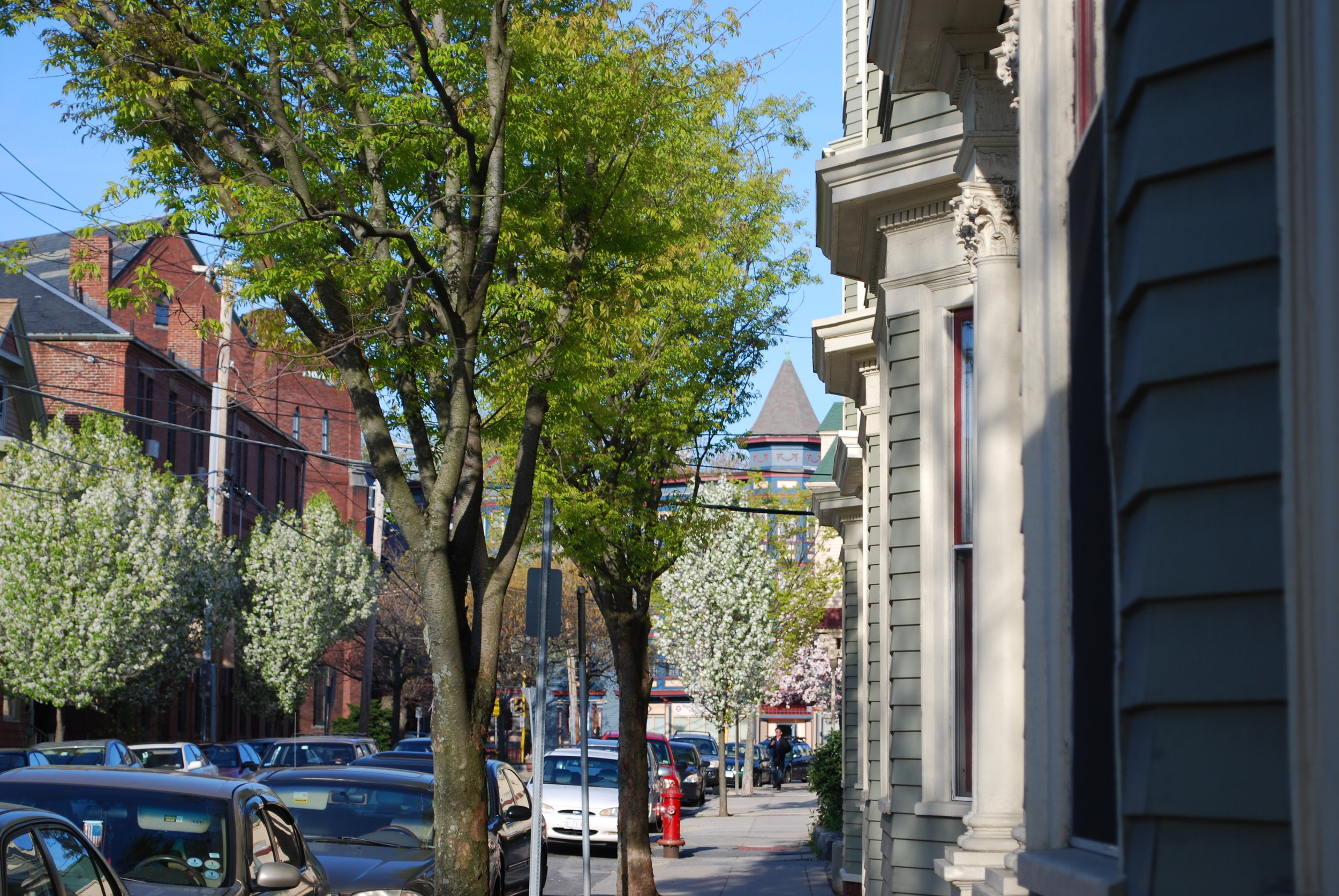 Somerville Spring Clean-up