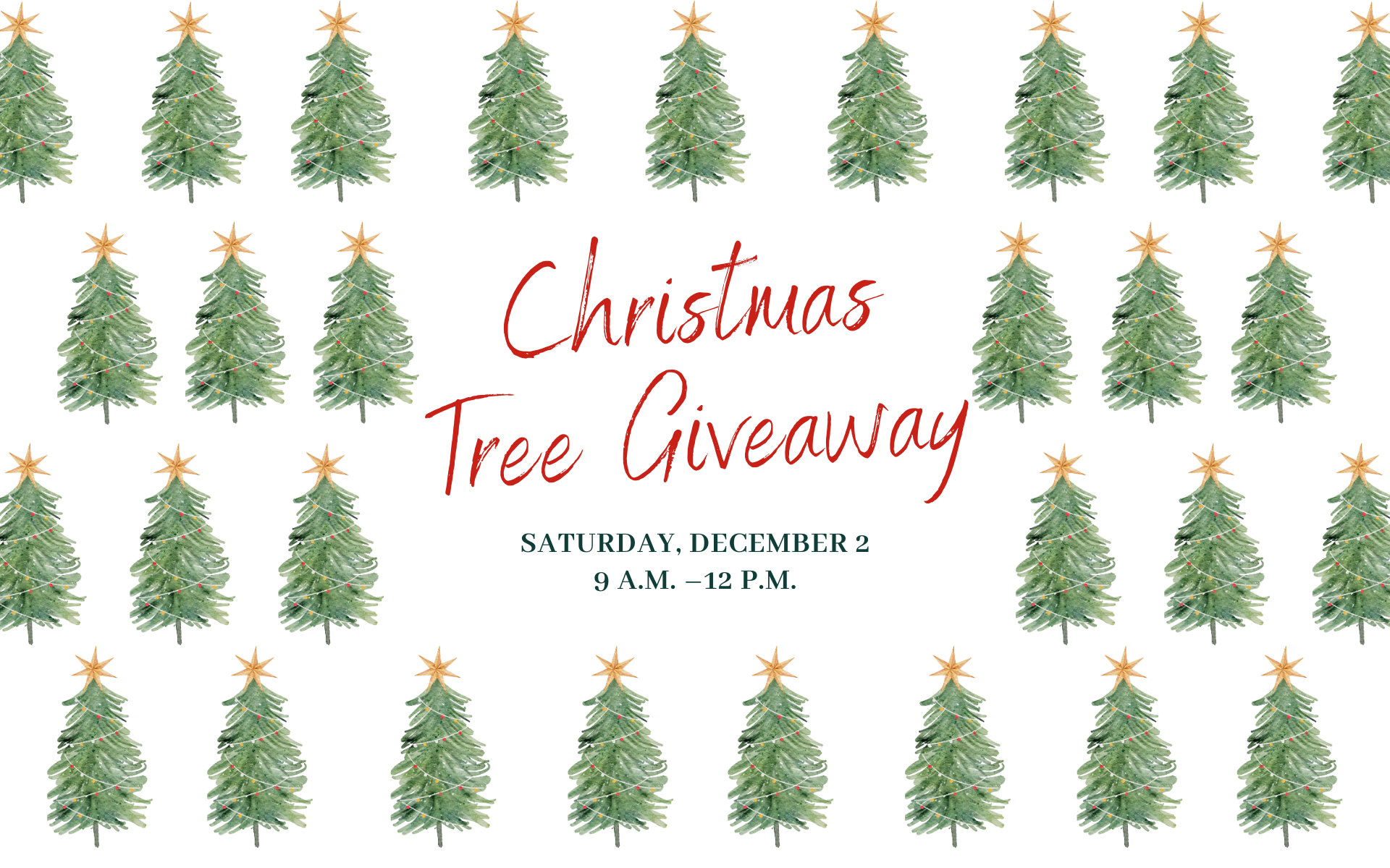 Christmas Tree Giveaway