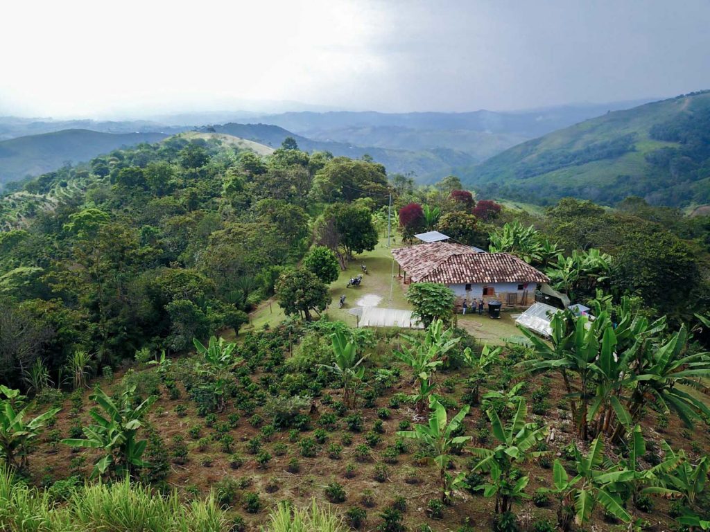 Colombian Farm.jpg