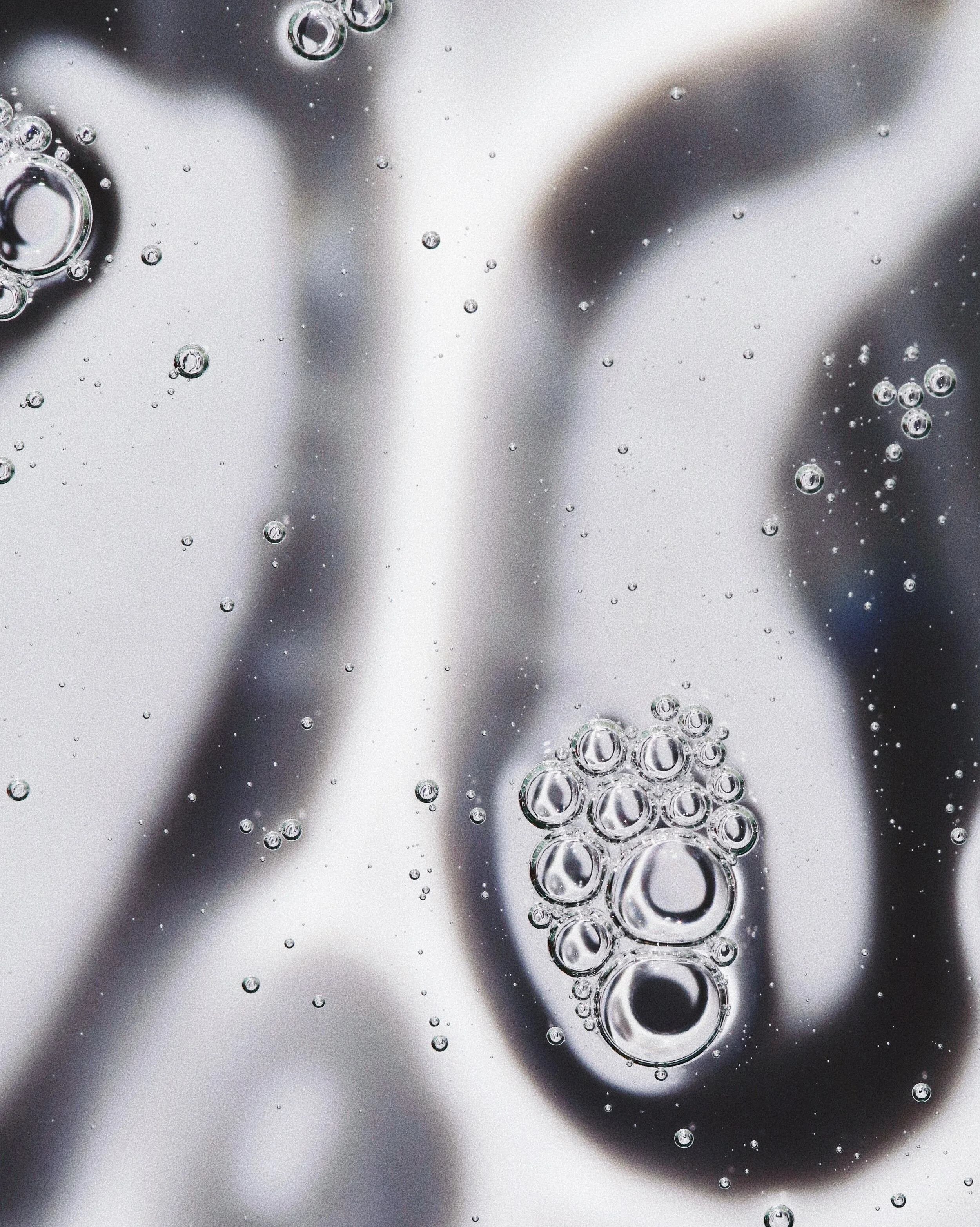 2 - GEL_NEC_FEED.JPG