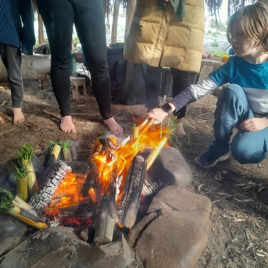 fire 4.jpg