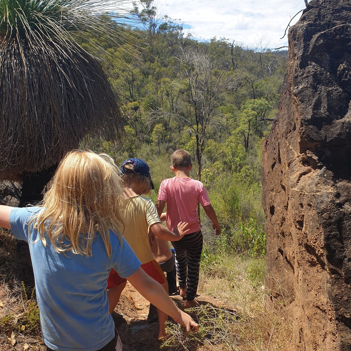 Basecamp Survival Week » Wilderness Awareness School