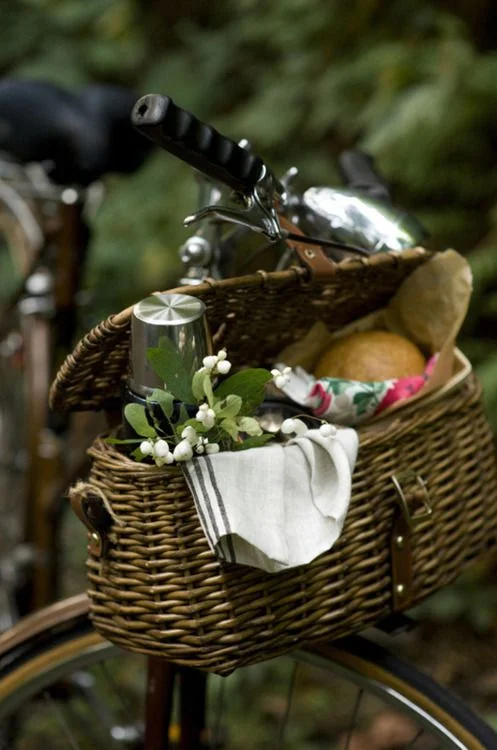 bikebasketpicnic.jpg