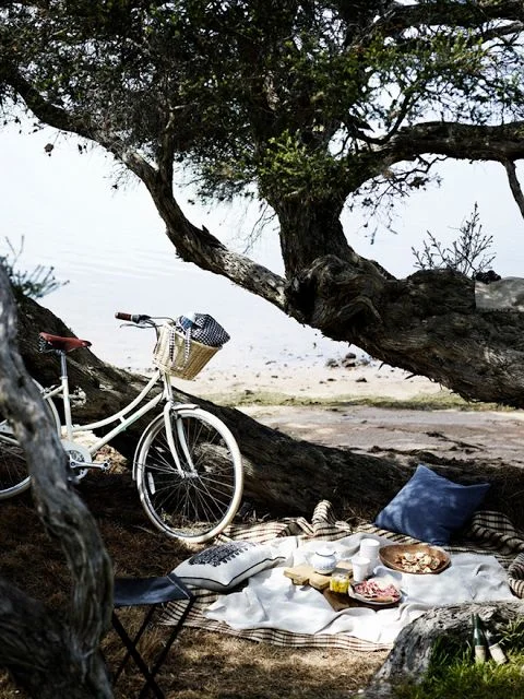 bikepicnic.jpg