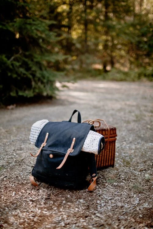 picnicbackpack.jpg