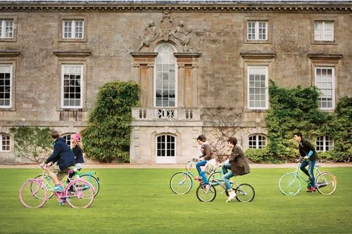 bikes on the lawn.jpg