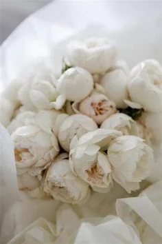 whitepeonies.jpg