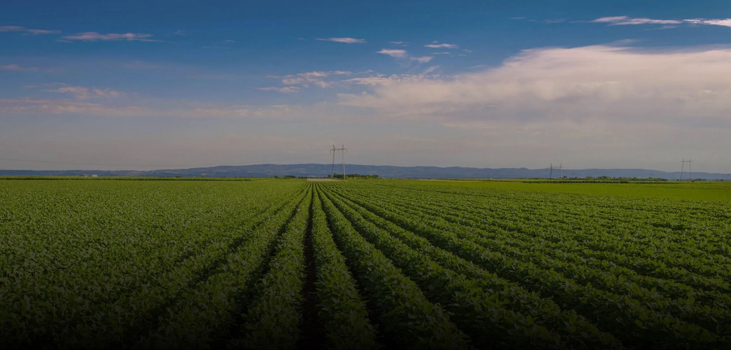 Irrig8tor_Field_Dark.jpg