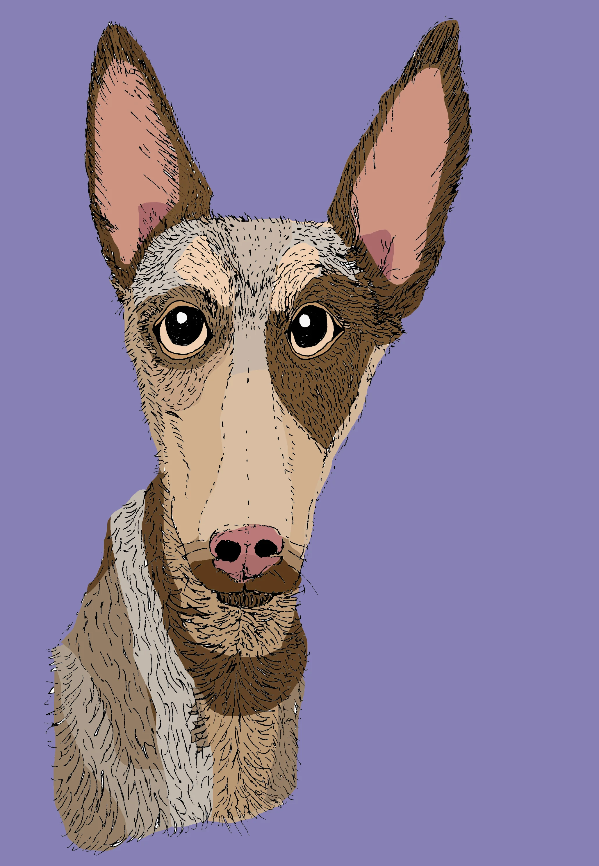 DogPurple.jpg
