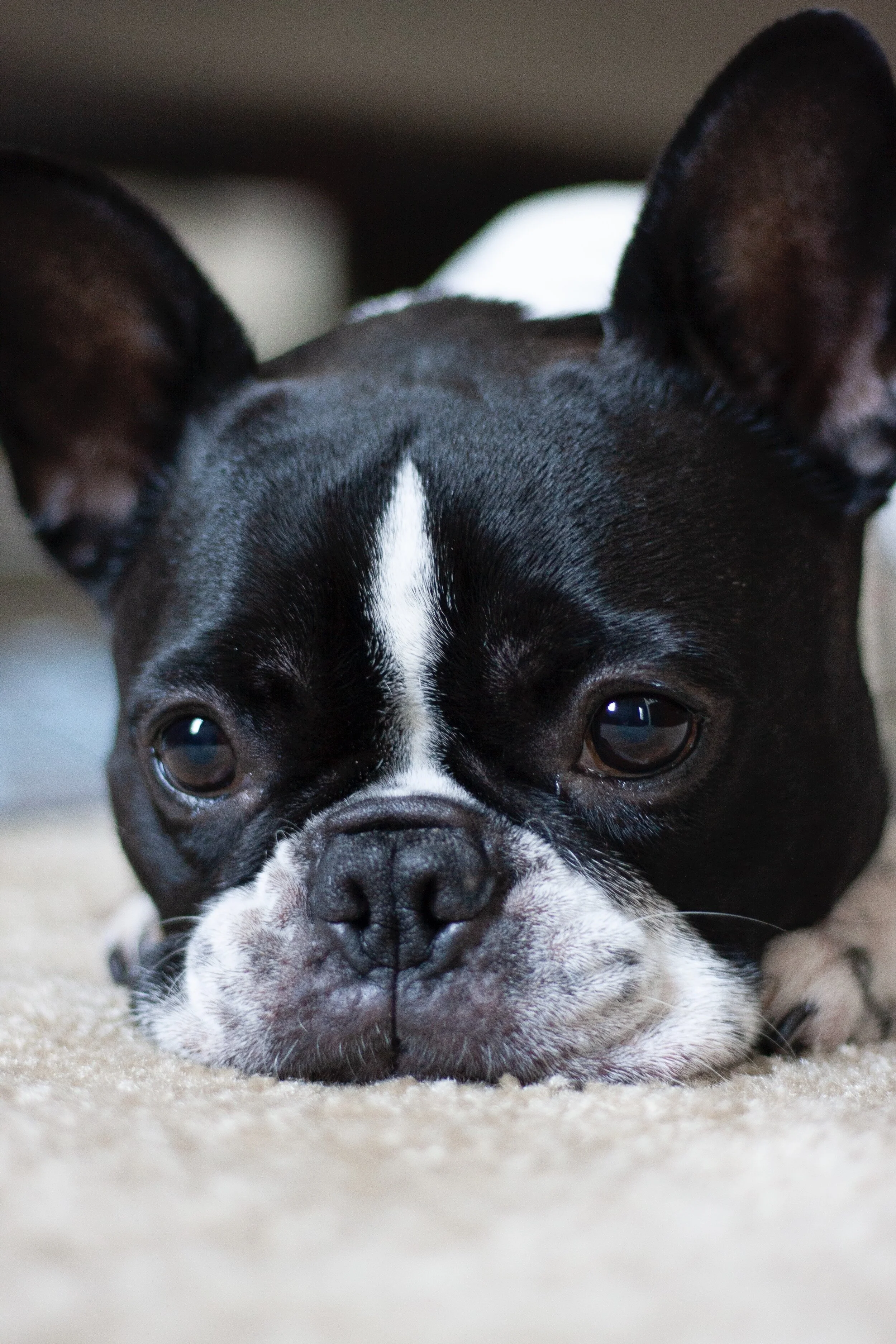 Sophie_MGPhotography.JPG
