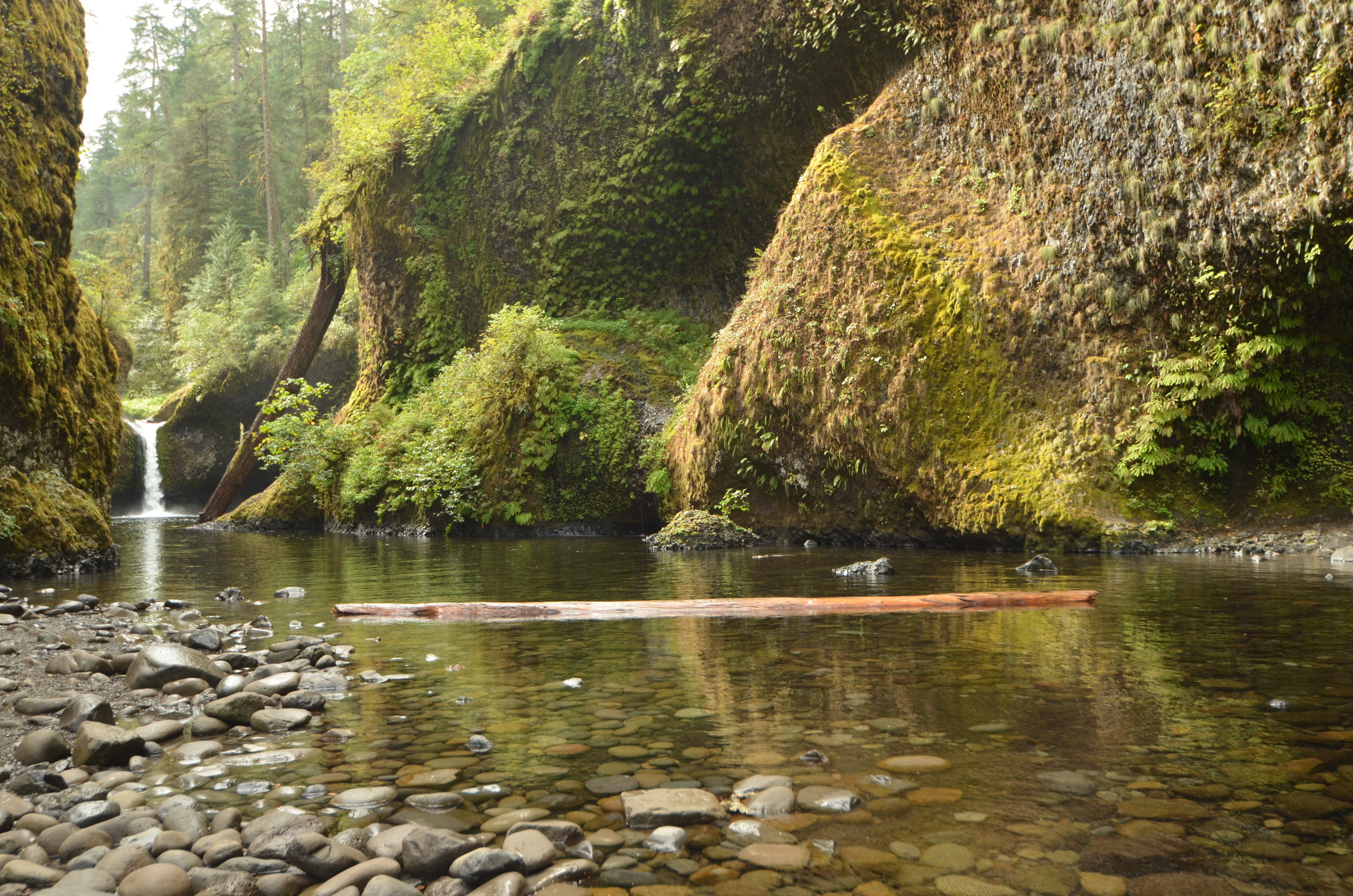 A stream near Punchbowl Falls in the Columbia Gorge. Photo by: Tess Malijenovsky.