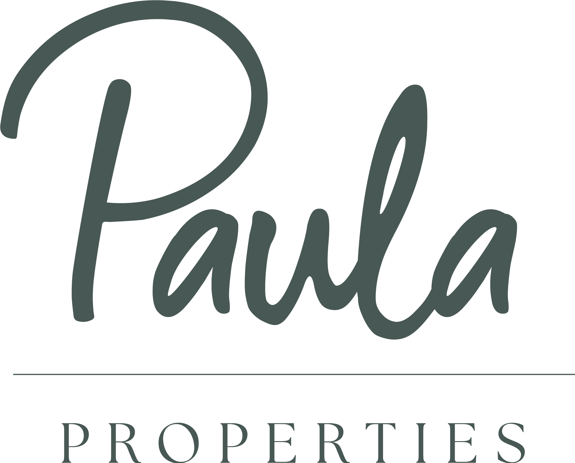 PaulaPropertiesDark.png