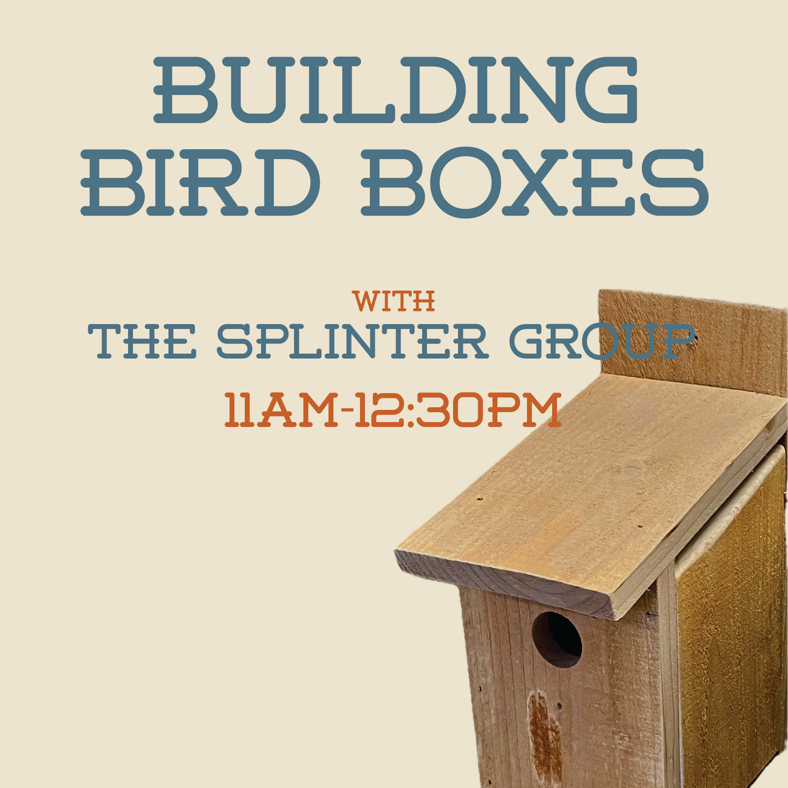 build bird boxes.png
