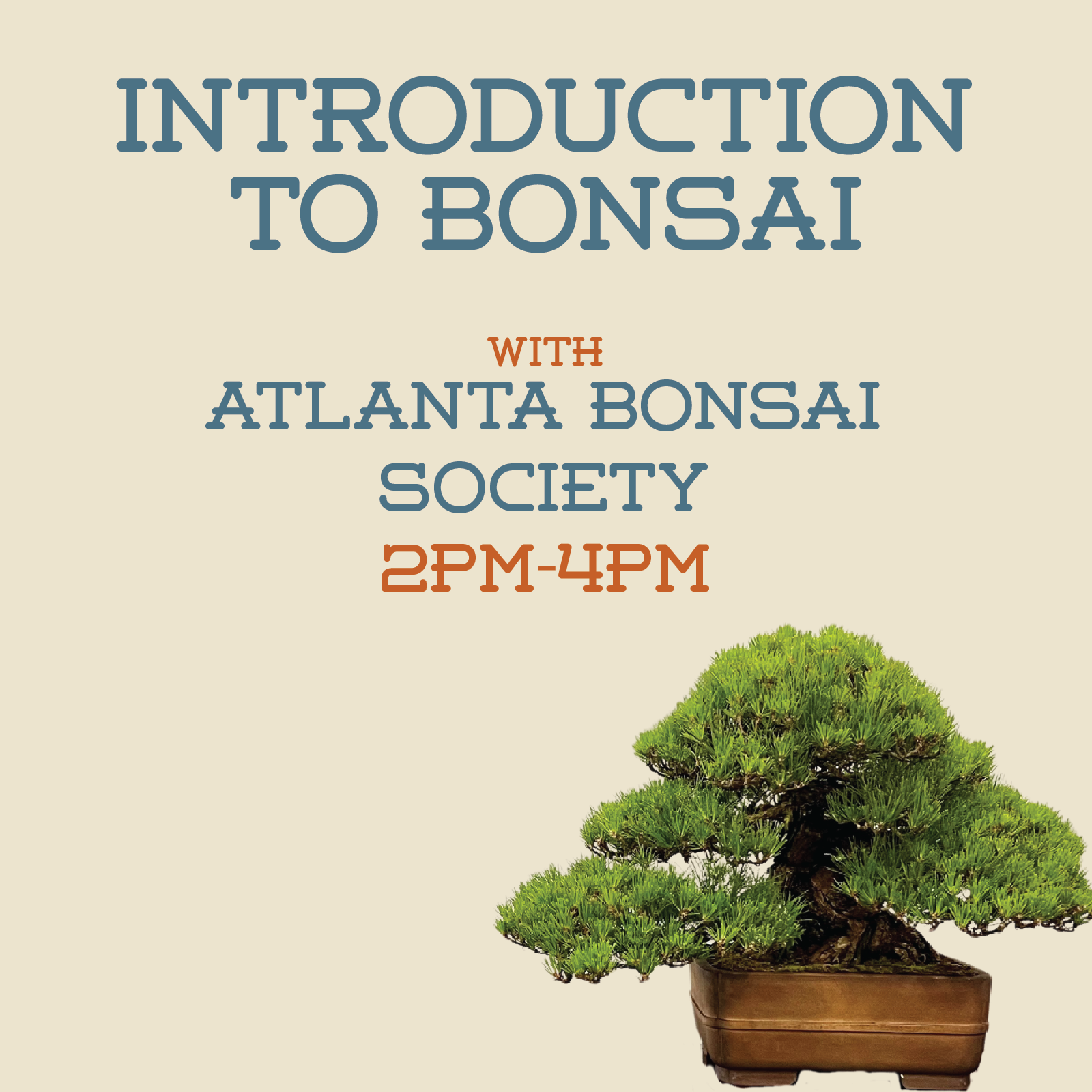 intro to bonsai_1.png