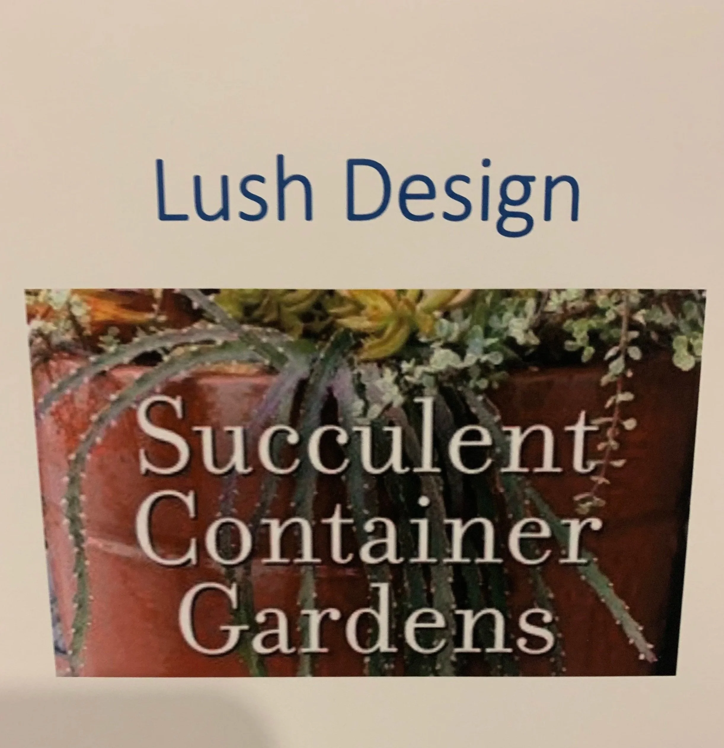 Lush Design Succulent Container Gardens