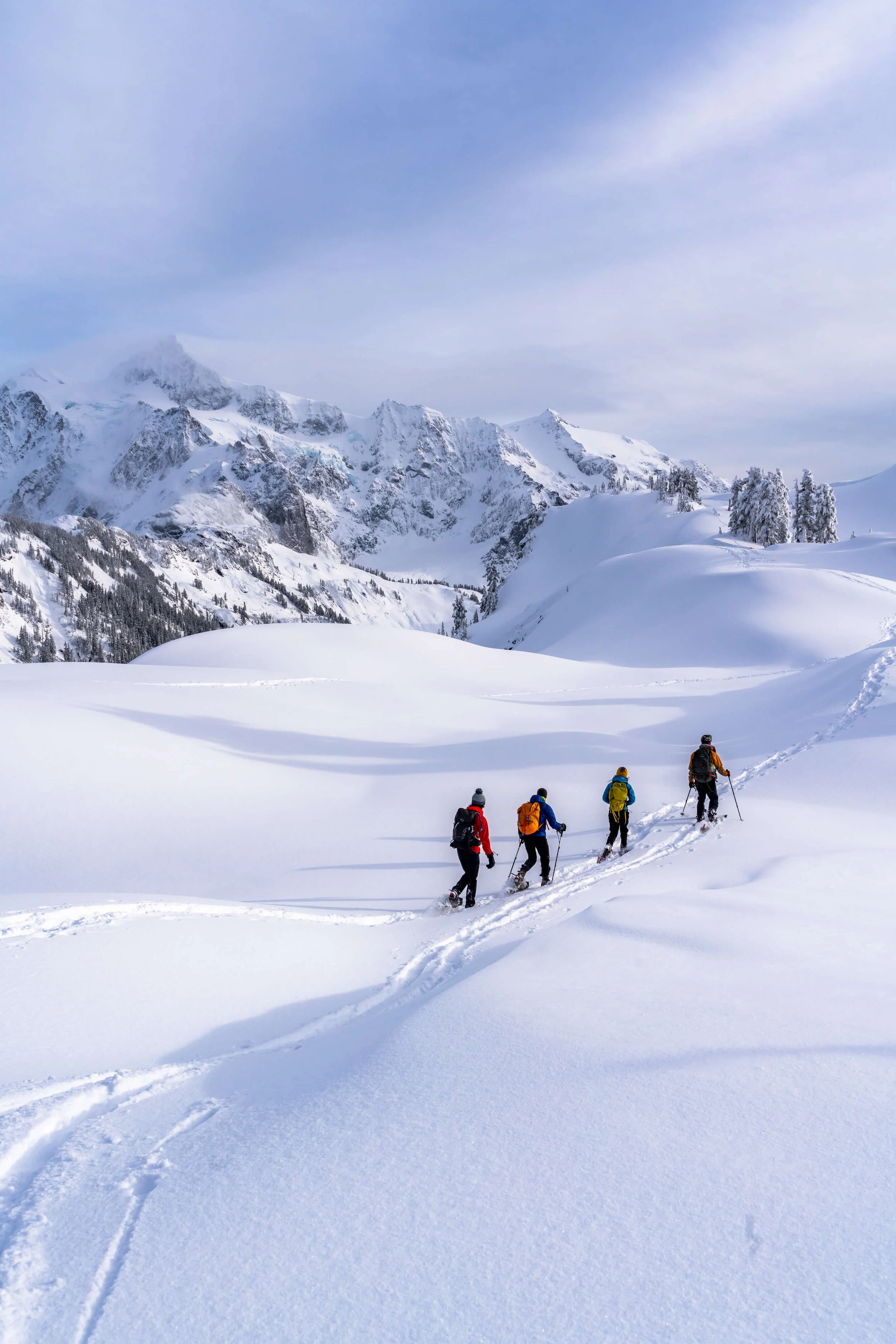 9 Fun Ways To Get Through a Washington Winter