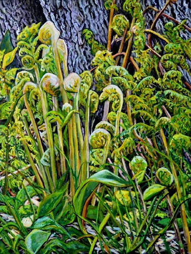  "FiddleHeads"
