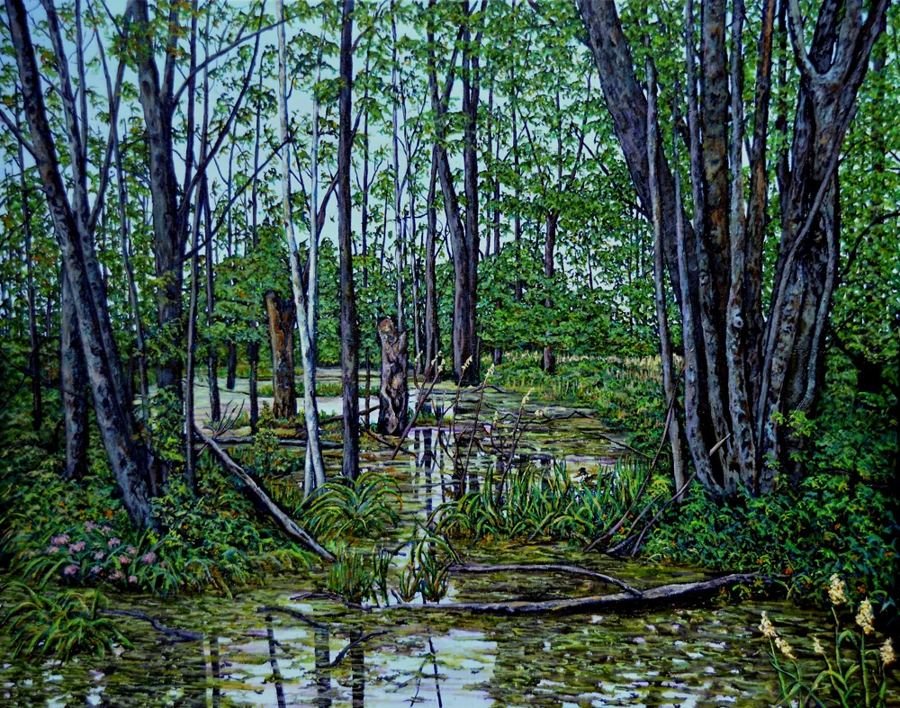 THE WETLANDS medium darker (1).jpg