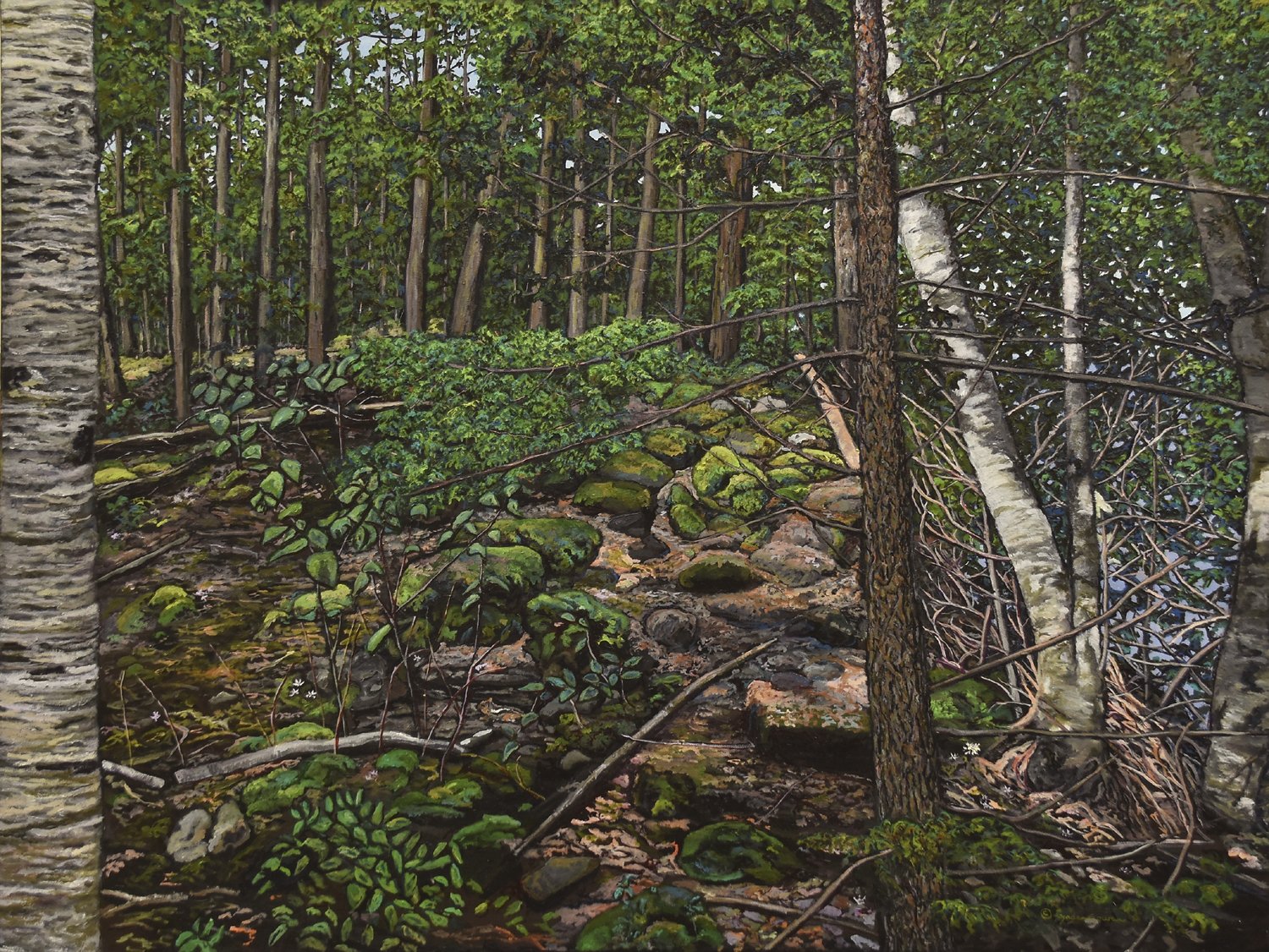 Crawford Lake