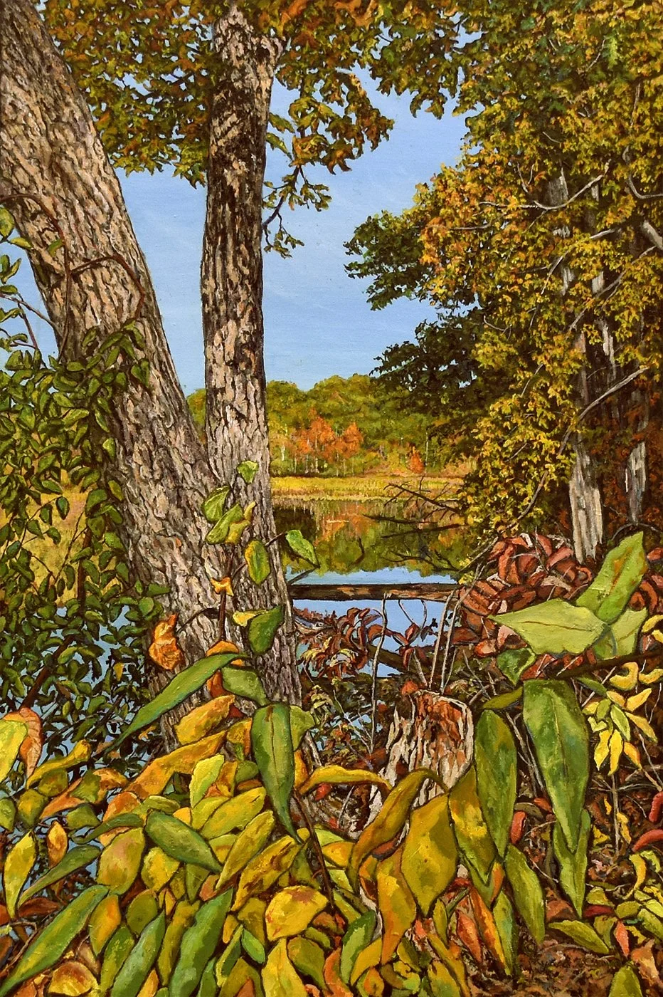 Framed by Nature 