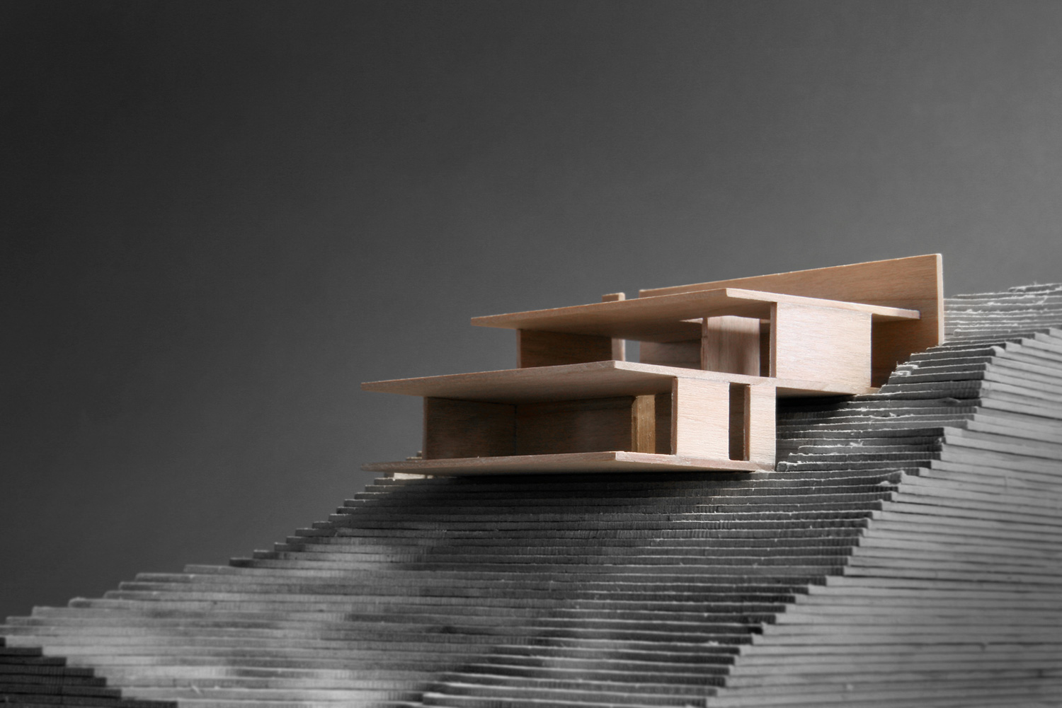 rSBH05---MODEL.jpg