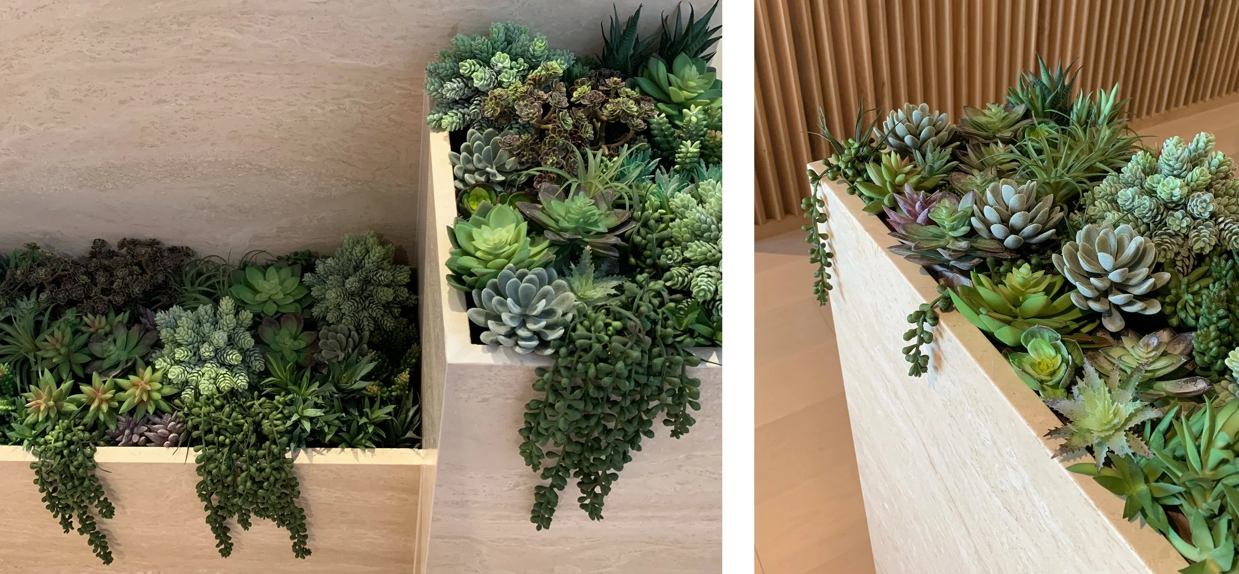PLANTERS- 10 DESAT.jpg