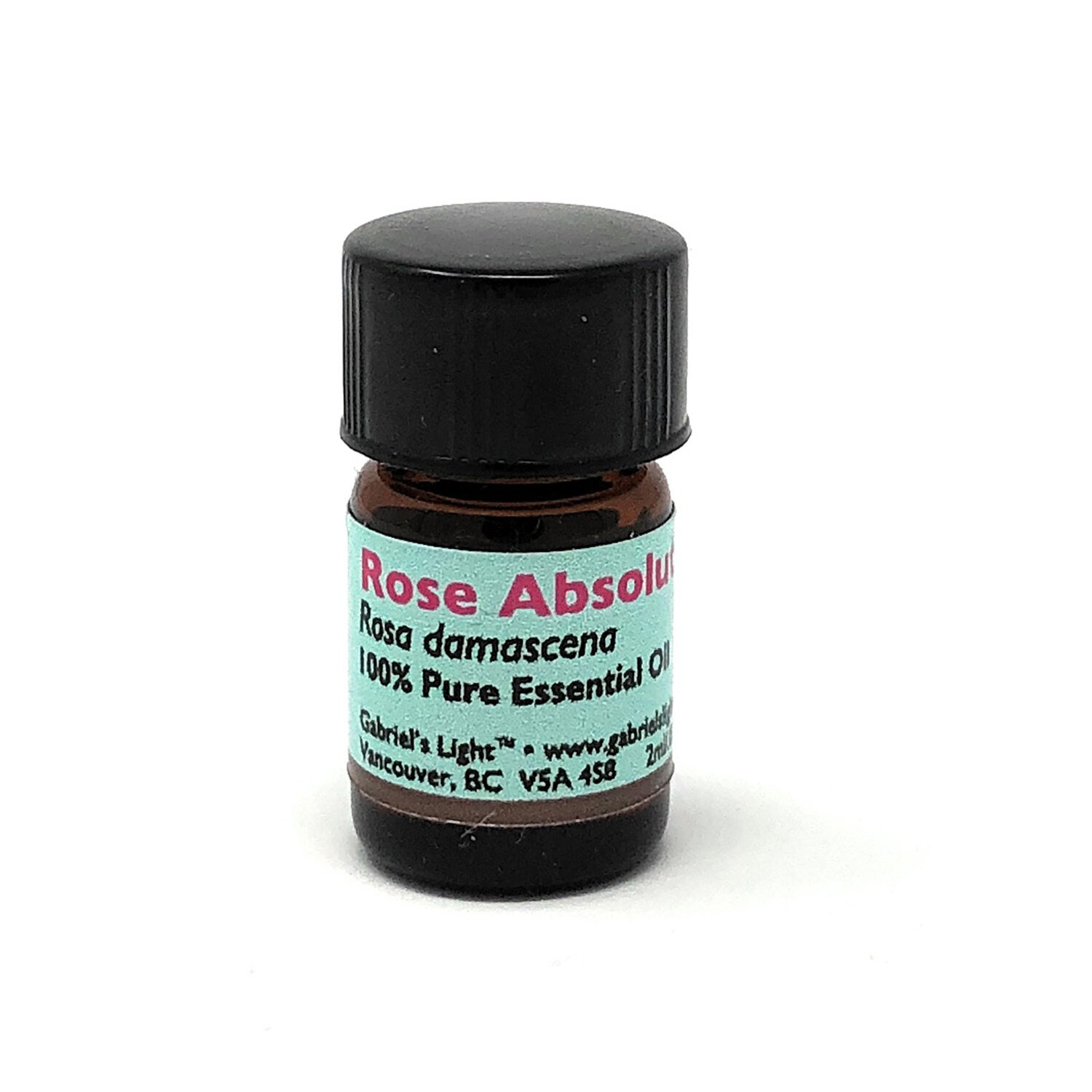Rose Absolute.jpg