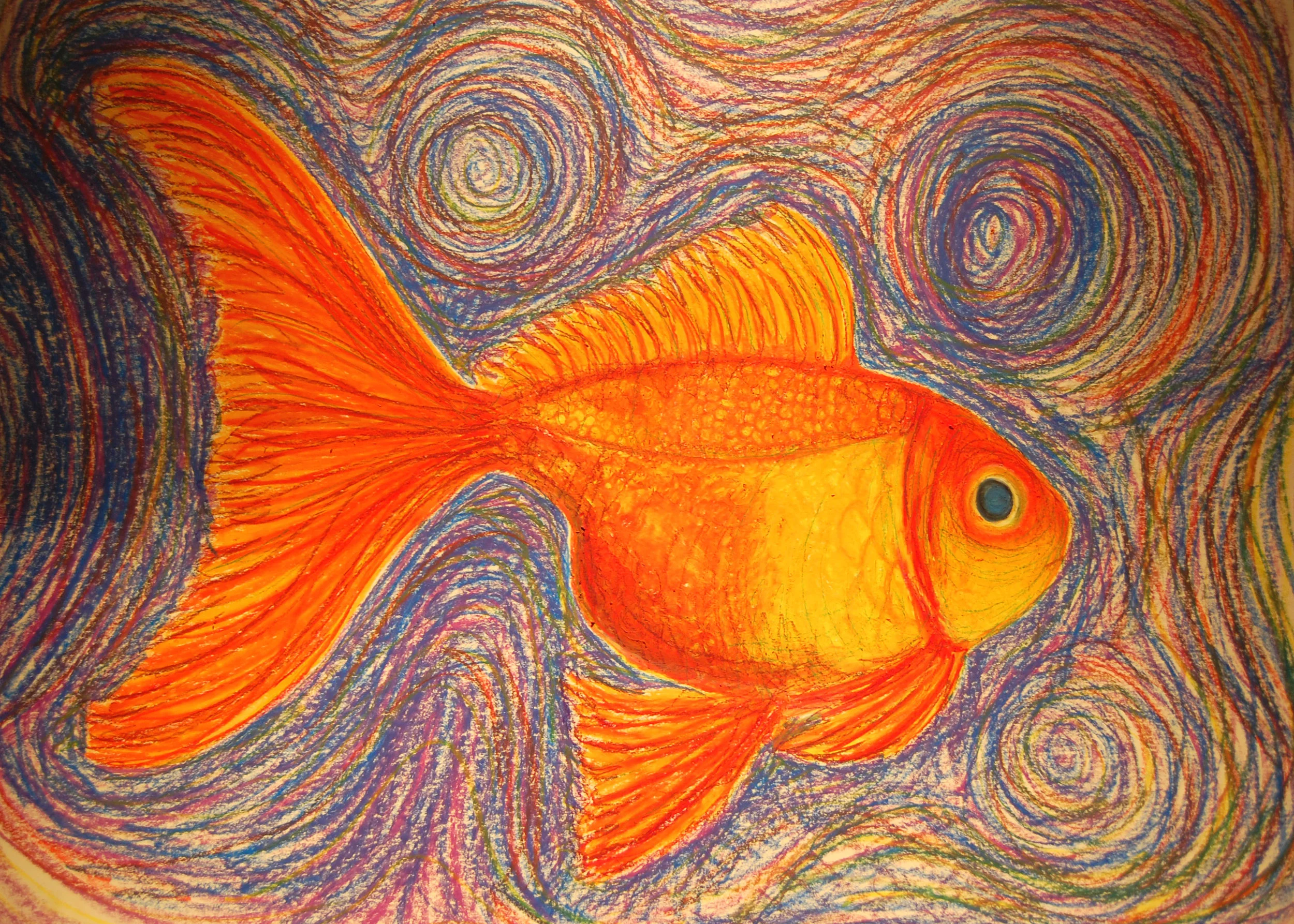 FISH 004.jpeg