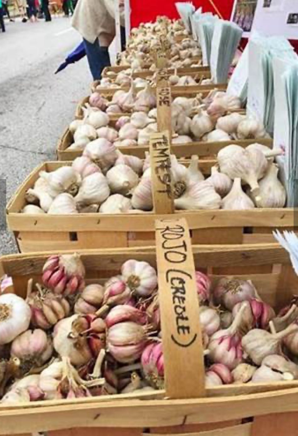 Hudson Valley Garlic Festival
