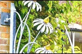 CT Flower &amp; Garden Show 2027