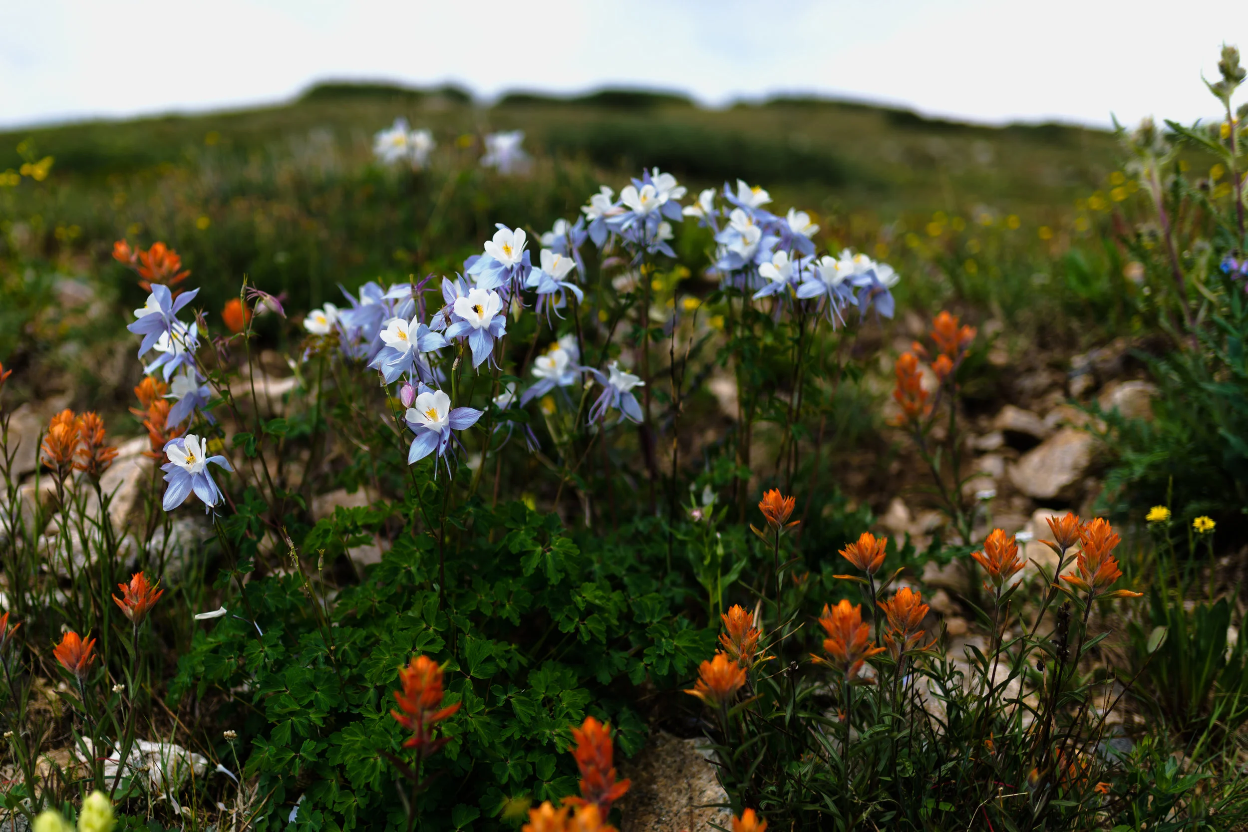 5D3_4575.jpg