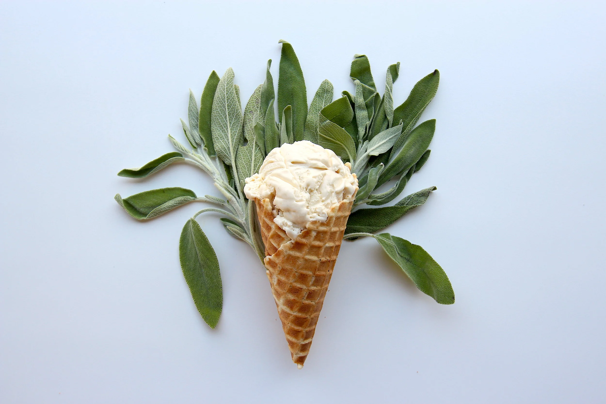 CharlieBrown_10 copy.JPG