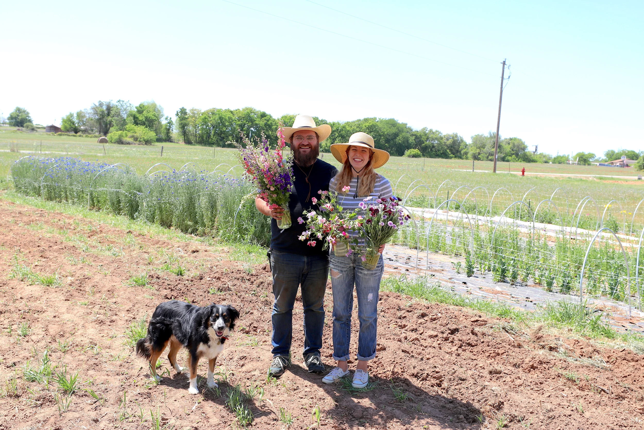 Farmers Jacob Furr and Katie Toon take a break from harvesting larkspur, sweet pea and bachelor's button blooms, with the help of their dog, Sadie. Photo by Sam Bruton