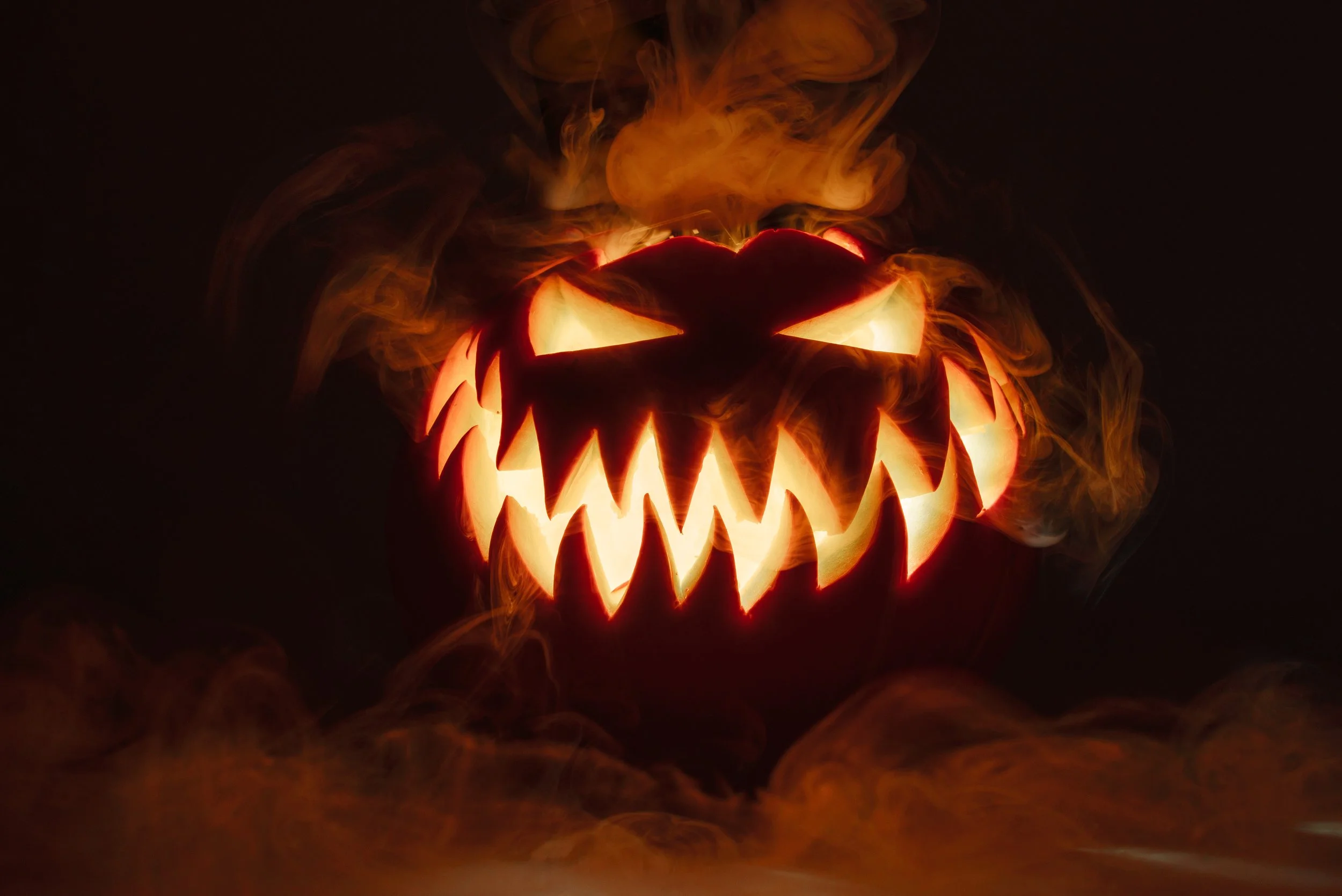 AdobeStock_281639368.jpeg