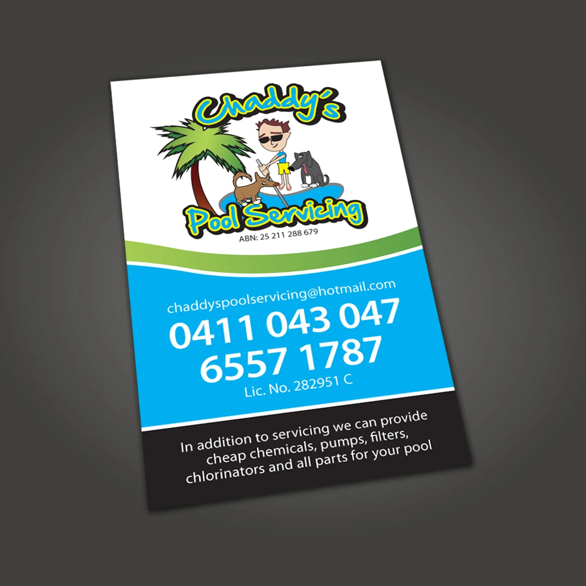 Chaddy's Pool Servicing | A5 Flyer (Reverse)
