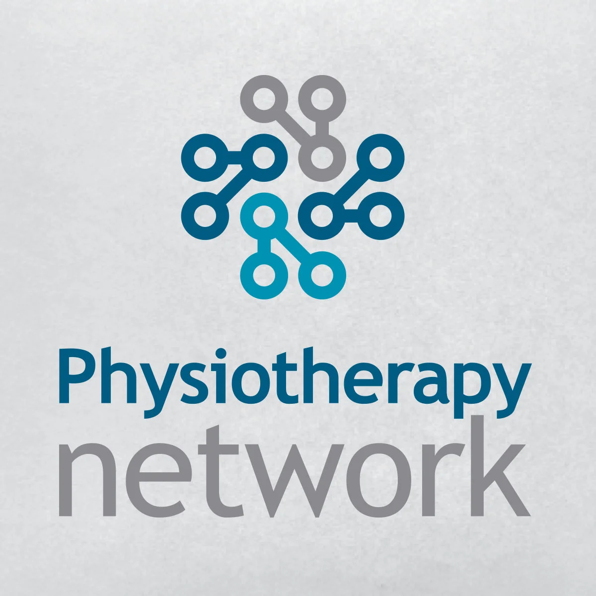 Physiotherapy network Logo Design