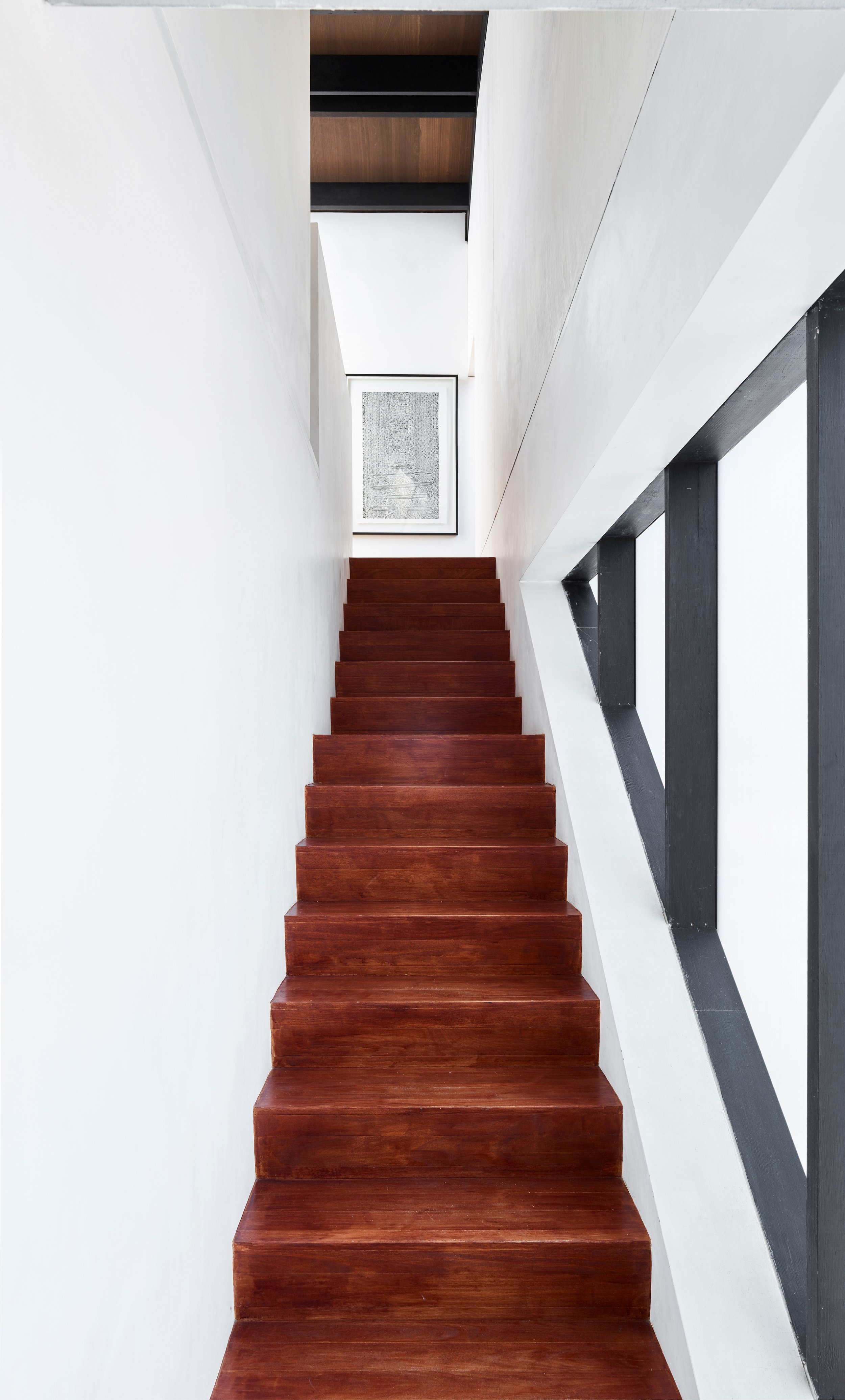red_CF044360©TobyScott.jpg