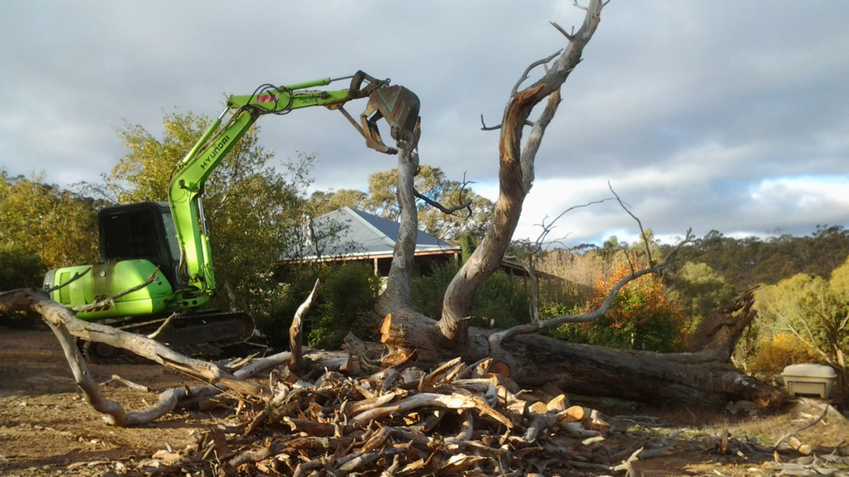 Tree clearing storm damage clean up.jpg