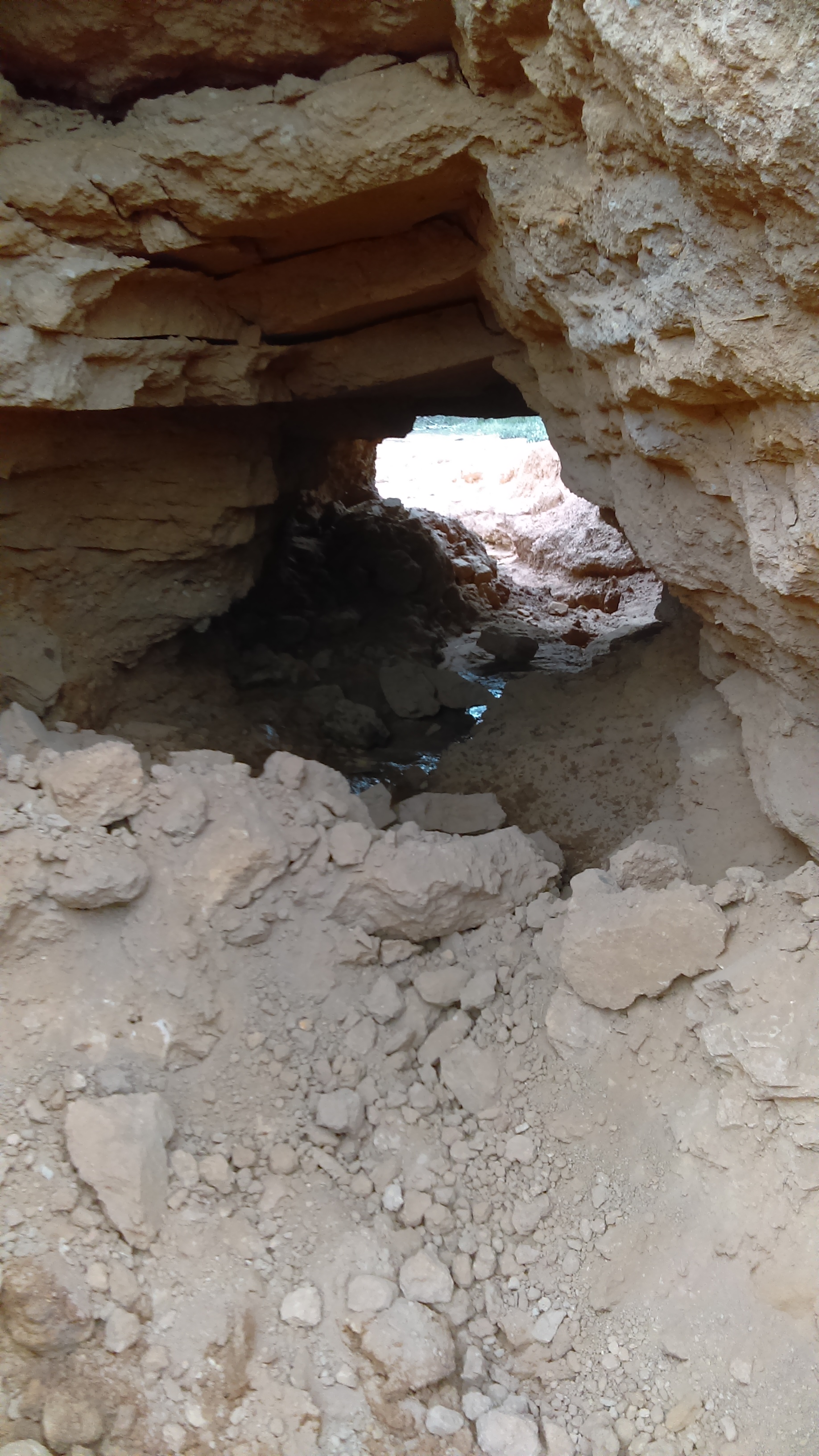 View from inside of dam bank.jpg