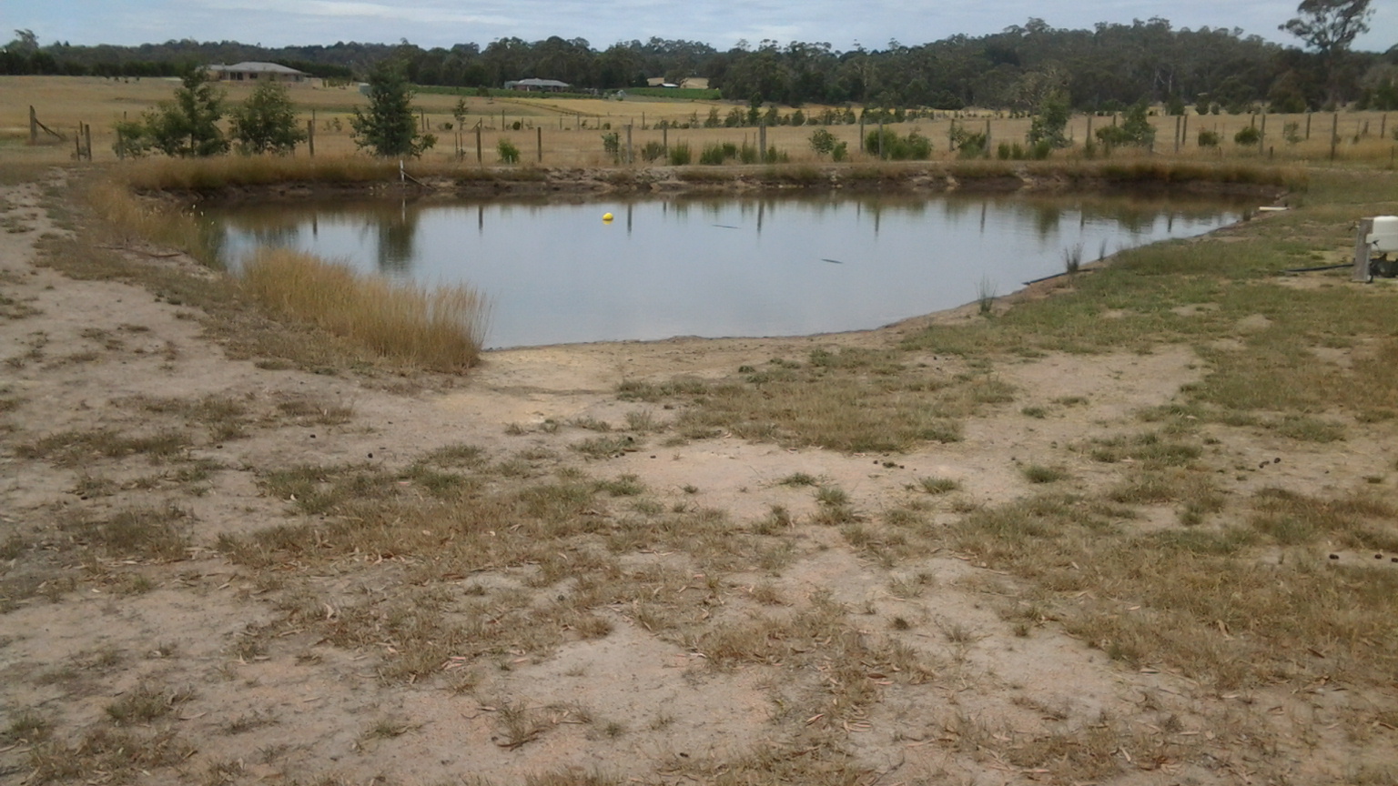 12 months on dam is full and ready for a swim.jpg