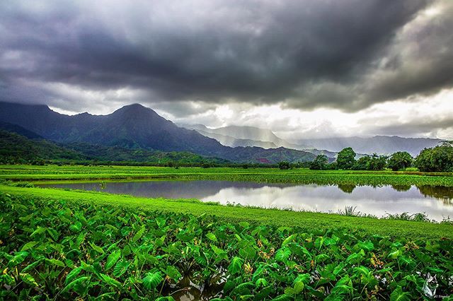 Realizing that there aren&rsquo;t bad moments just difficult lessons &amp;
Discarding them only negativity impacts you.
.
.
#hawaii #kauai #ocean #teamcanon #visitArizona #canon_photos #hikearizona #hikeaz #instagramaz #arizonacollective #arizonahiki