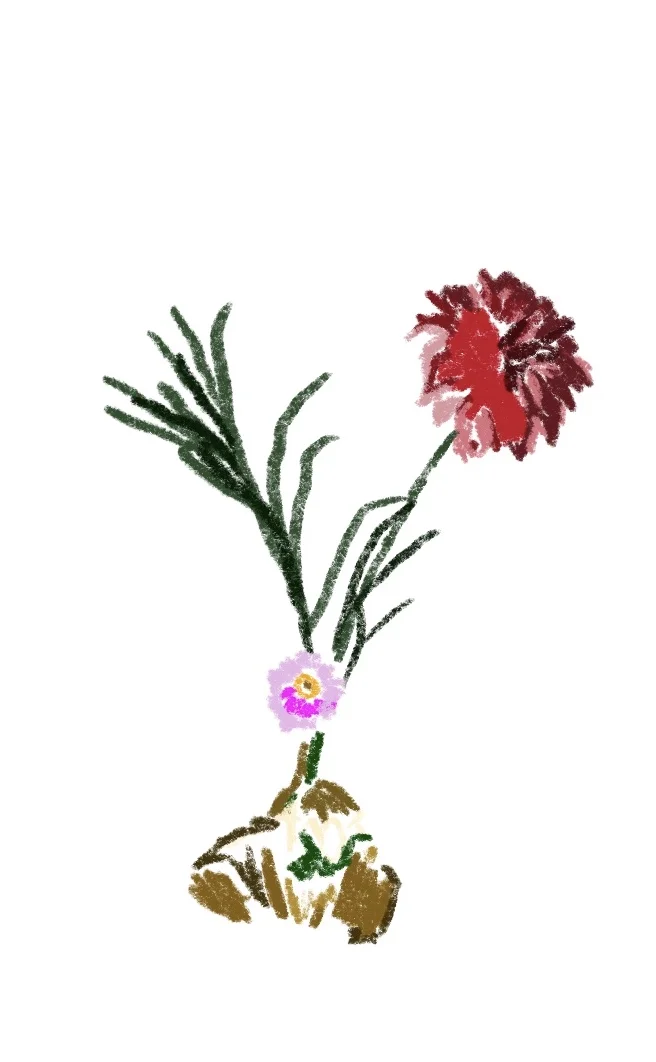 Untitled_Artwork 5.jpg
