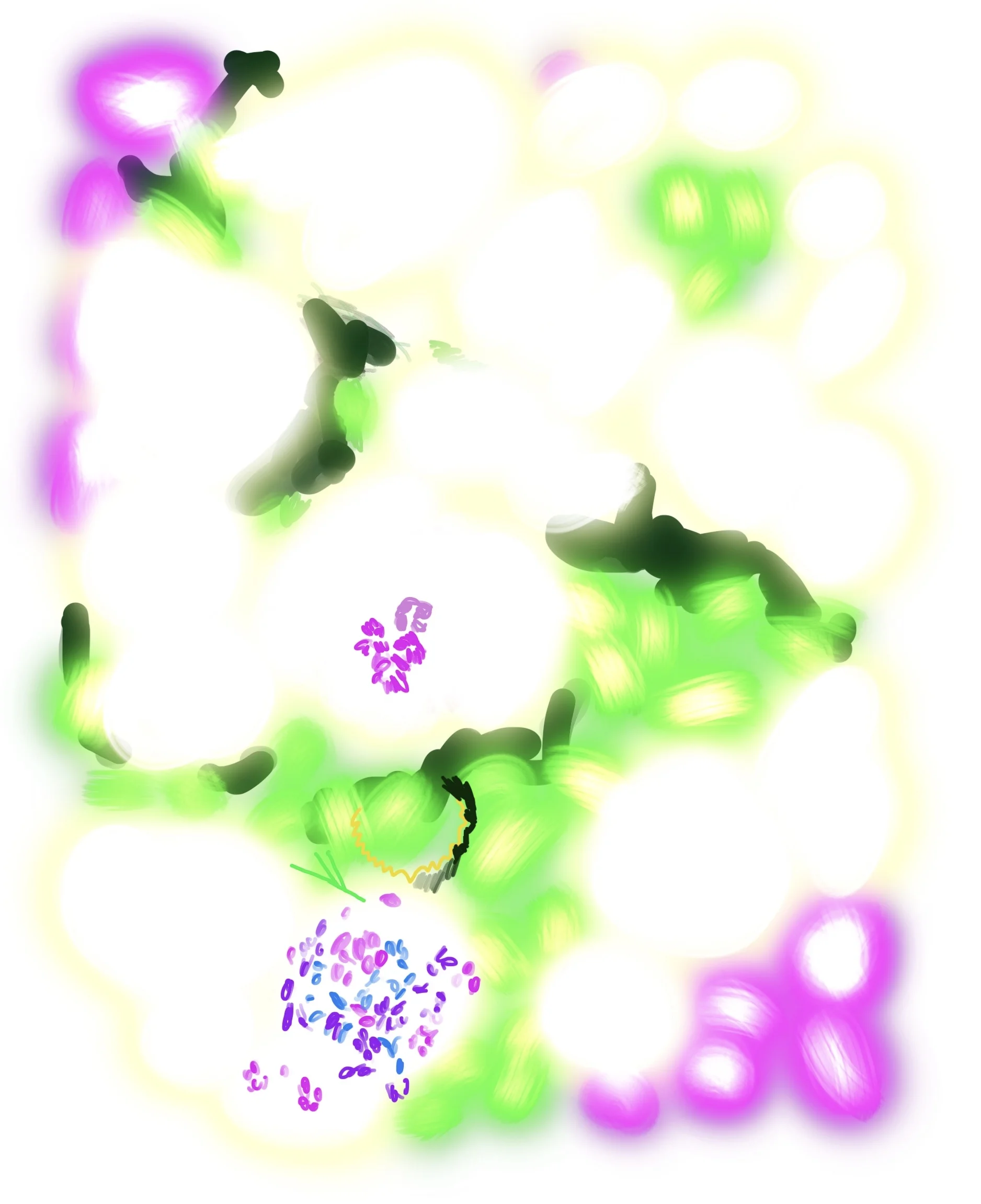 Untitled_Artwork 8.jpg