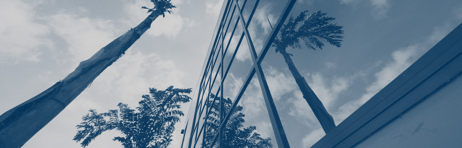 JC_CS_LunnAve_Banner_LR.jpg
