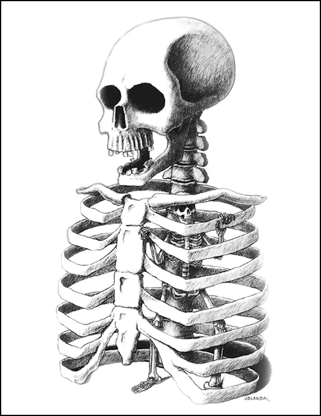 Skeleton.jpg